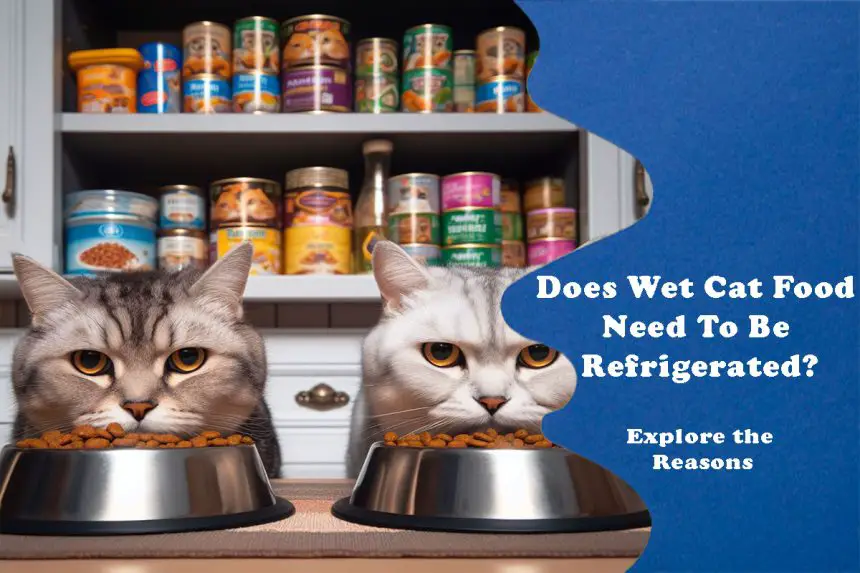 Does Wet Cat Food Need To Be Refrigerated