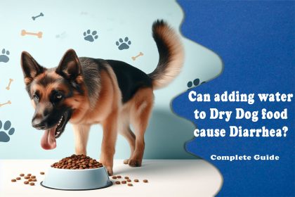 Can adding water to Dry Dog food cause Diarrhea