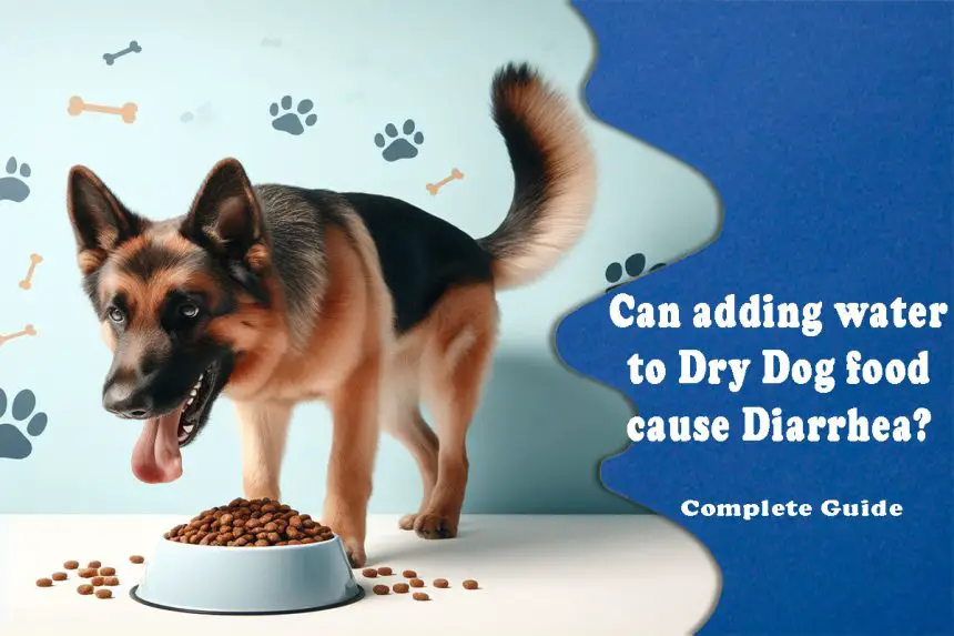 Can adding water to Dry Dog food cause Diarrhea