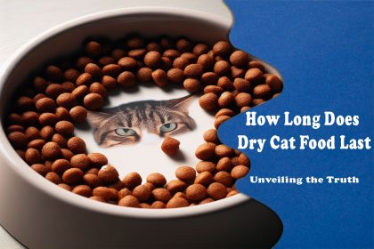 How Long Does Dry Cat Food Last