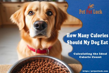 How Many Calories Should My Dog Eat