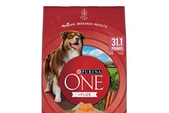 Best Dog Food for Dogs With Skin Allergies
