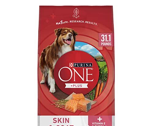 Best Dog Food for Dogs With Skin Allergies