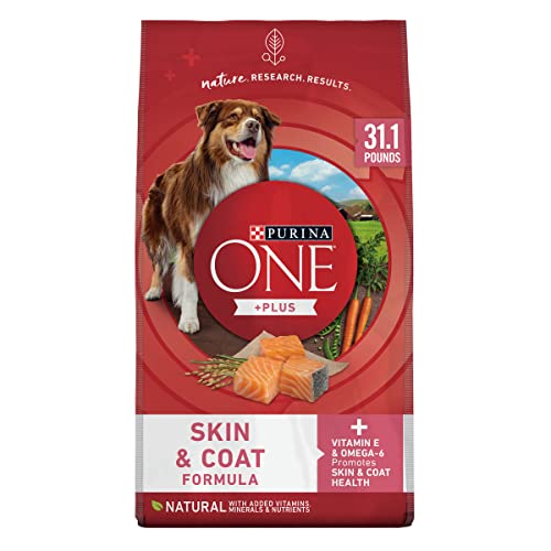 Best Dog Food for Dogs With Skin Allergies