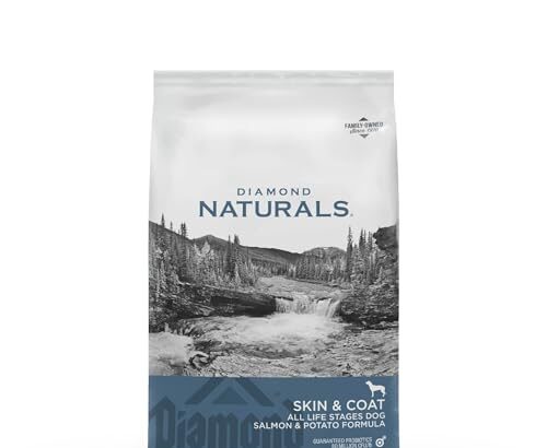 Dog Food for Itchy Skin