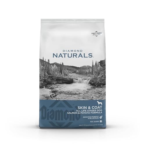 Dog Food for Itchy Skin