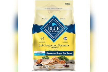 Best Adult Dog Food for Weight Management