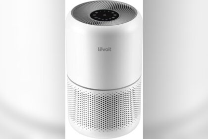 Best Air Purifier for Pet Allergies Home