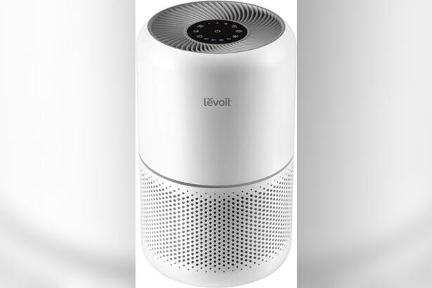 Best Air Purifier for Pet Allergies Home