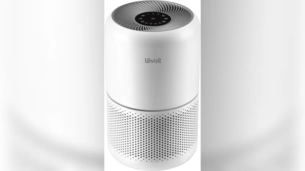 Best Air Purifier for Pet Allergies Home