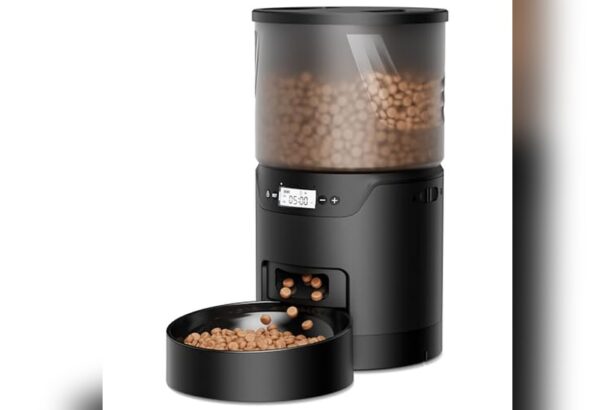 Best Budget Automatic Pet Feeder
