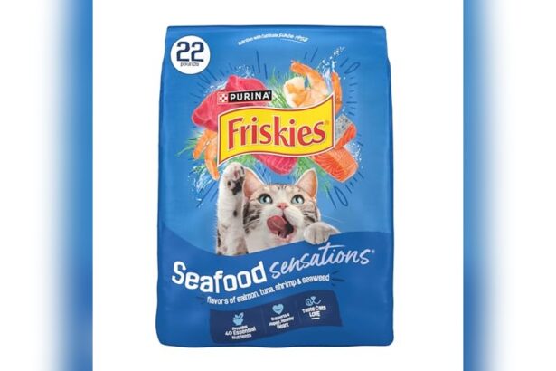 Best Budget Cat Food