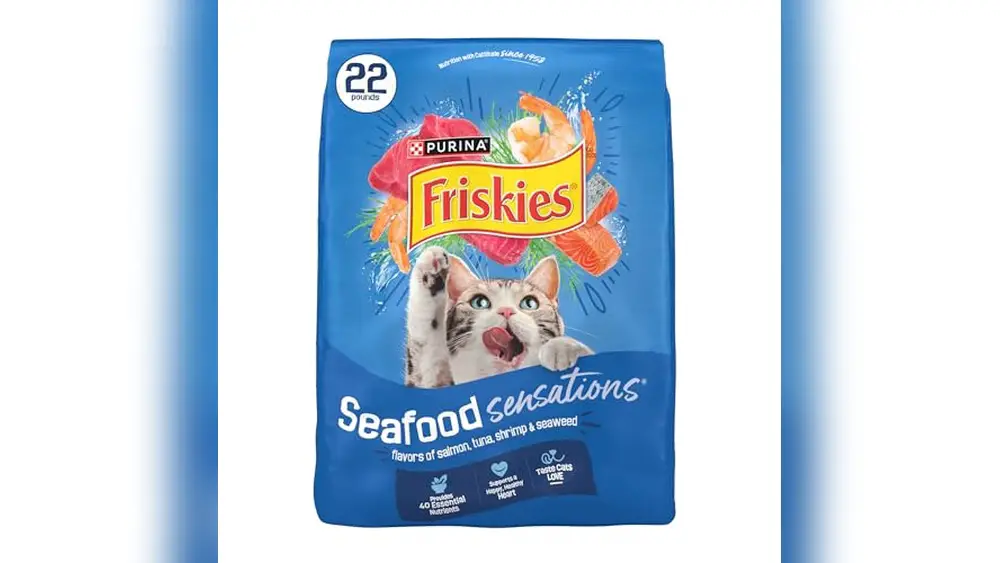 Best Budget Cat Food