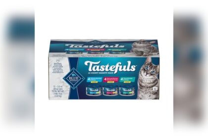 Best Canned Cat Food Brands