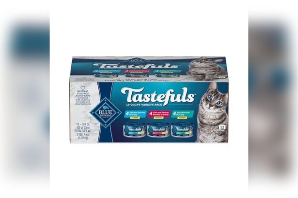 Best Canned Cat Food Brands