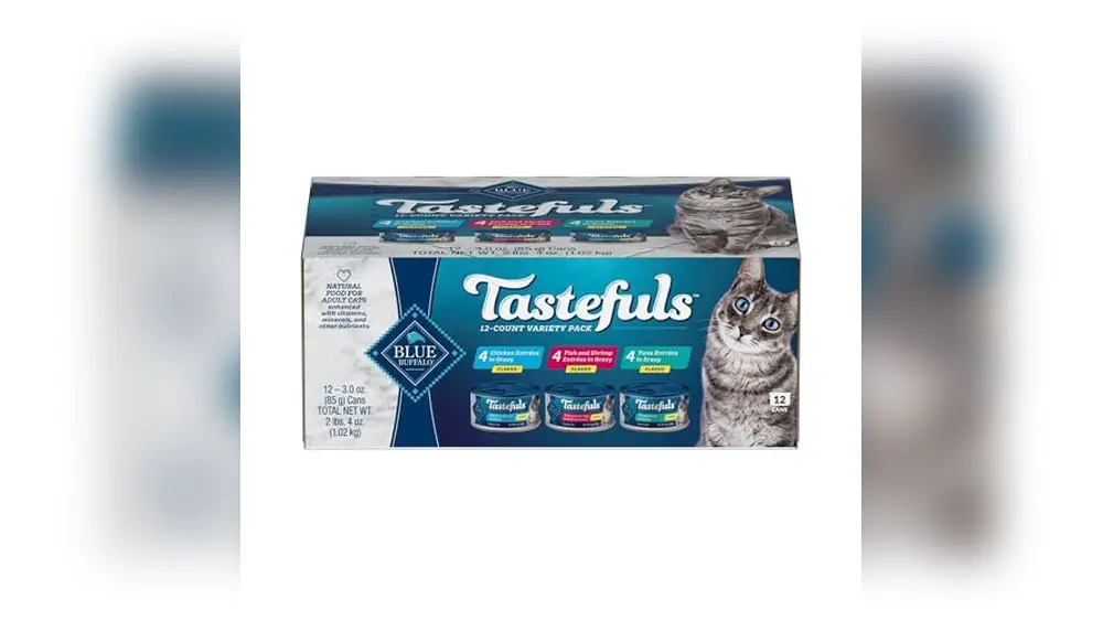 Best Canned Cat Food Brands