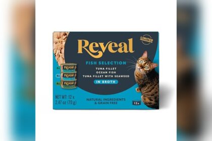 Best Canned Cat Food for Cats With Pancreatitis