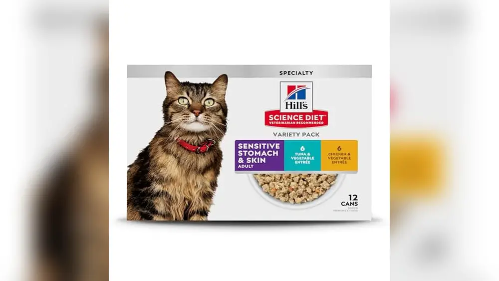 Best Canned Food for Cats With Sensitive Stomachs