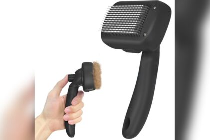Best Cat Brush for Shedding Long Hair
