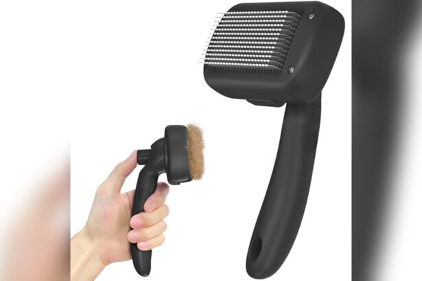 Best Cat Brush for Shedding Long Hair