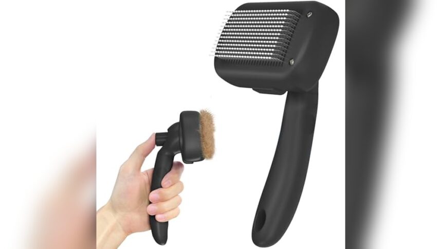 Best Cat Brush for Shedding Long Hair