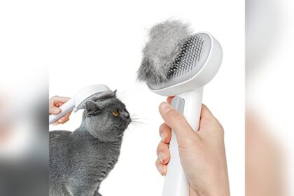Best Cat Brush for Shedding Long Hair