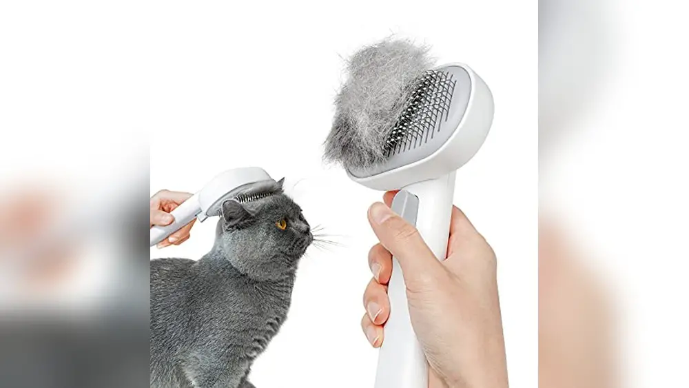 Best Cat Brush for Shedding Long Hair