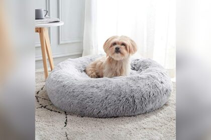 Best Cat Calming Bed for Anxiety