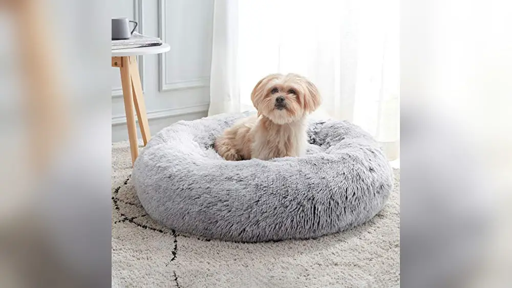 Best Cat Calming Bed for Anxiety