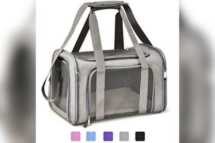 Best Cat Carrier Airline Approved Soft