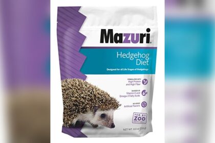 Best Cat Food for a Hedgehog