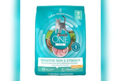 Best Cat Food for a Sensitive Stomach