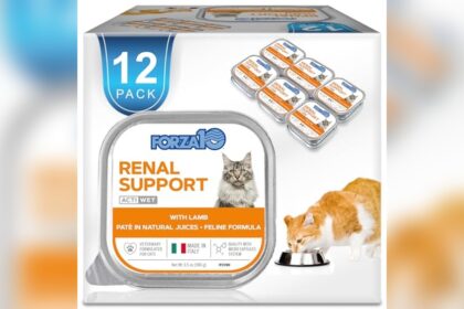 Best Cat Food for Autoimmune Disease