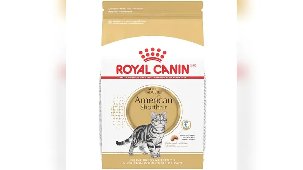 Best Cat Food for British Shorthair