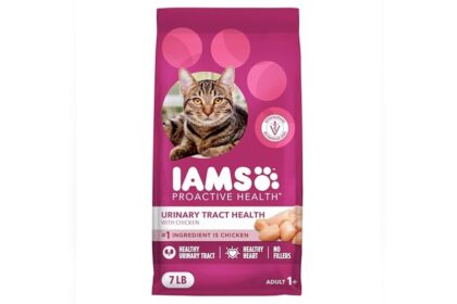 Best Cat Food for Cats With Urinary Problems