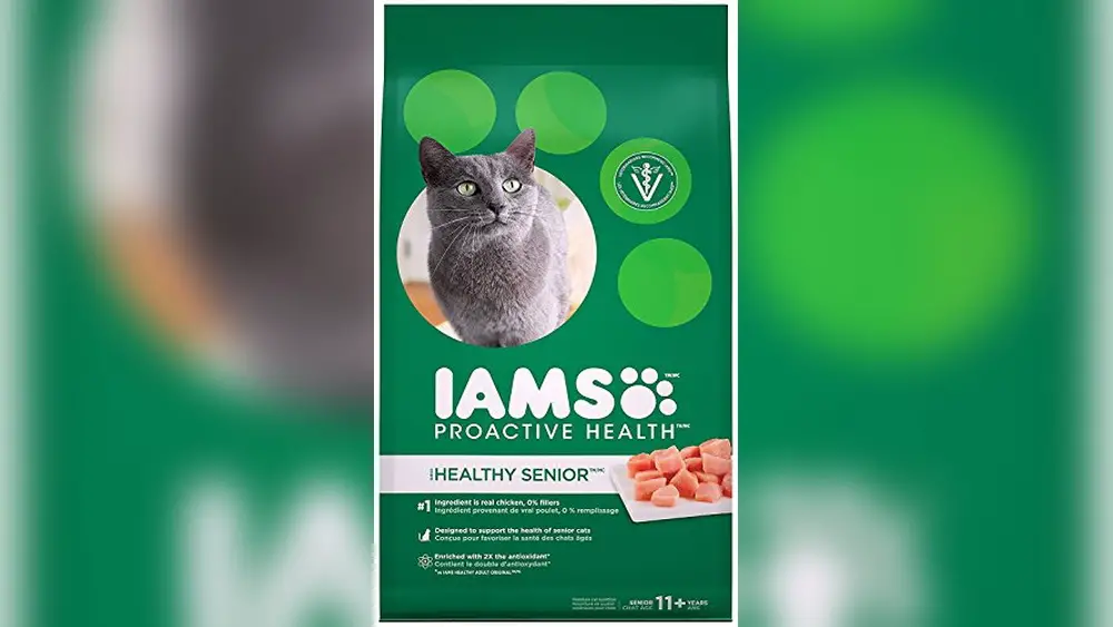 Best Cat Food for Elderly Cats