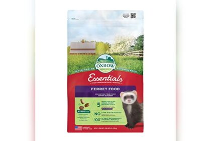 Best Cat Food for Ferrets