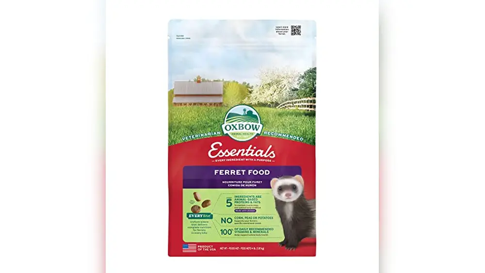 Best Cat Food for Ferrets
