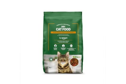 Best Cat Food for Hedgehog
