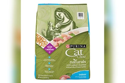 Best Cat Food for Indoor Cats