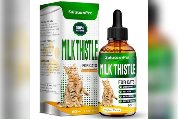 Best Cat Food for Liver Disease