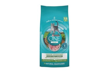 Best Cat Food for Poop Smell