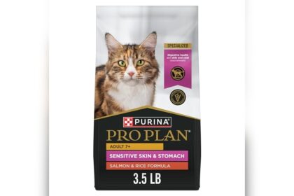 Best Cat Food for Senior Cats That Vomit
