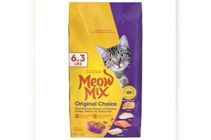 Best Cat Food for Strays