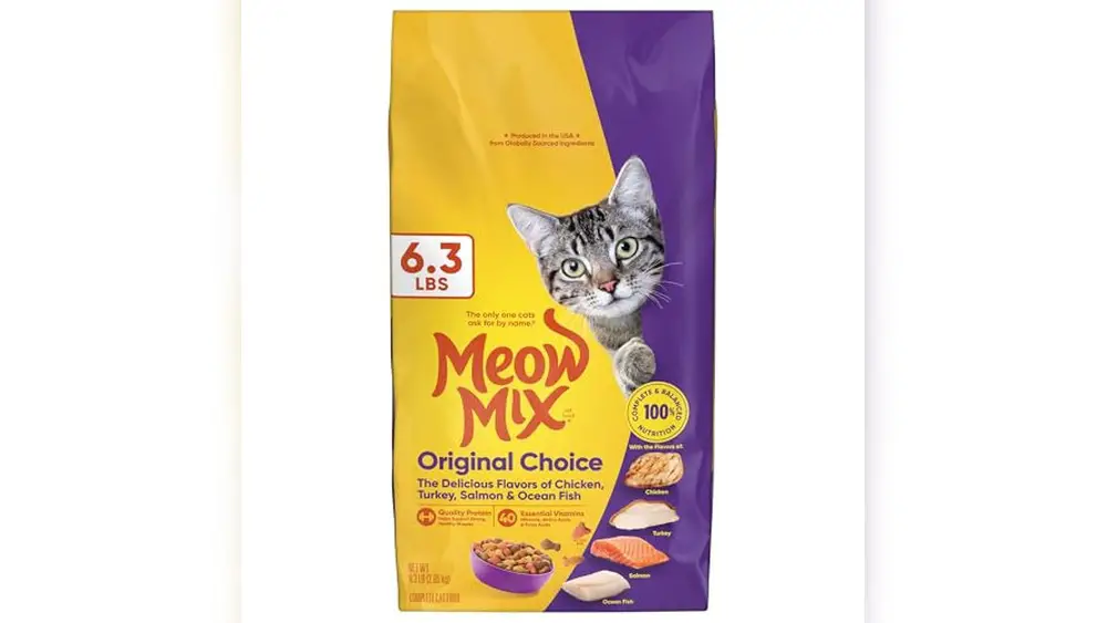 Best Cat Food for Strays