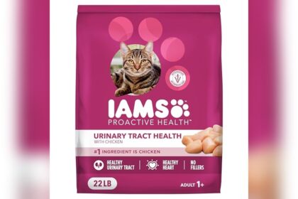 Best Cat Food for Urinary Tract Health