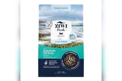 Best Cat Food South Africa