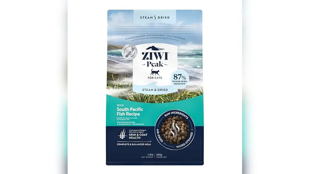 Best Cat Food South Africa