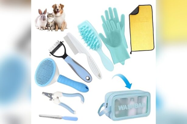 Best Cat Grooming Kit for Beginners