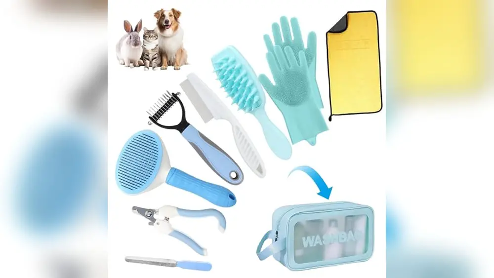 Best Cat Grooming Kit for Beginners